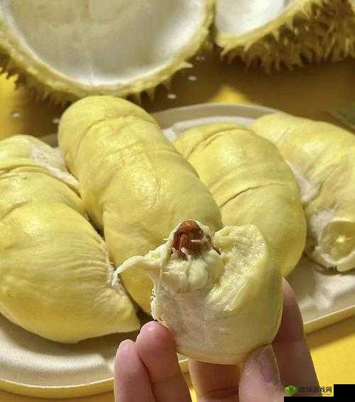 榴莲色斑独特魅力,让你流连忘返 503 久久回味