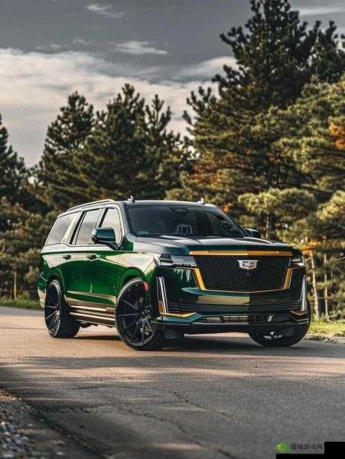 欧美大尺寸 SUV 免费:畅享豪华座驾无需花费一分钱