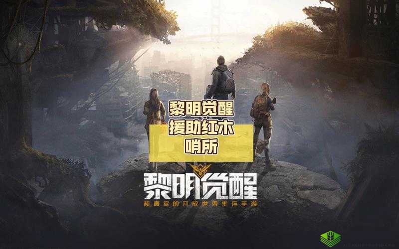 黎明觉醒，哨所重建的曙光与希望