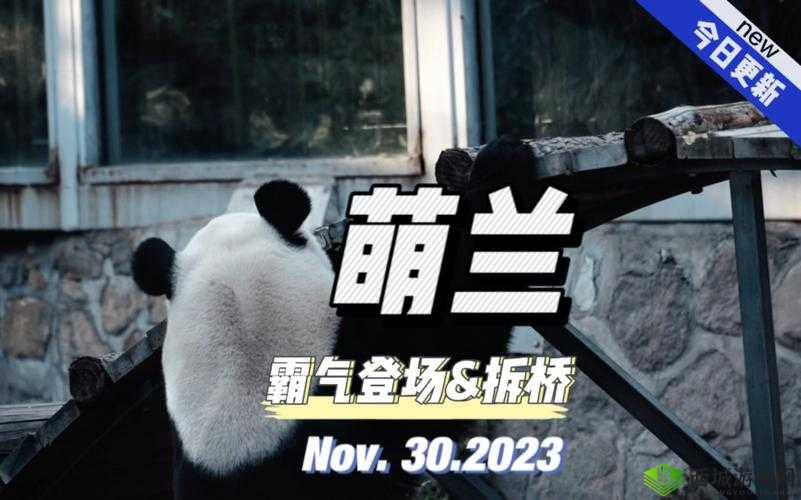 饿了吗本王霸气登场,这就喂饱你啦