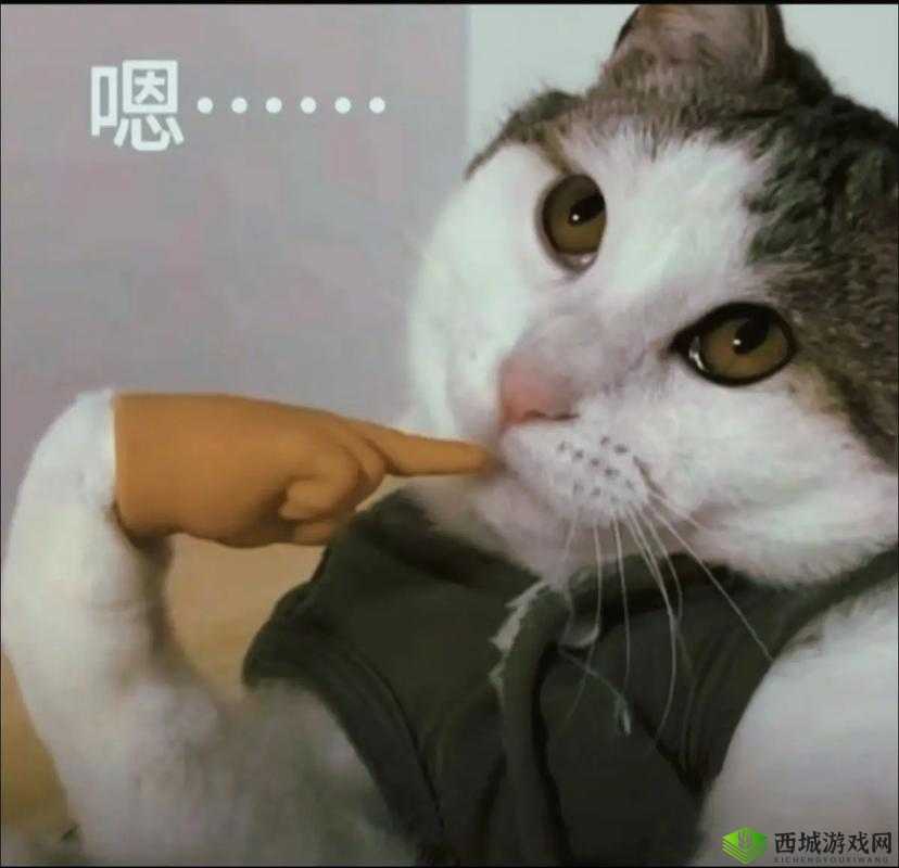 嘟噜嘟噜嘟噜啊耶啊耶真的太有意思啦