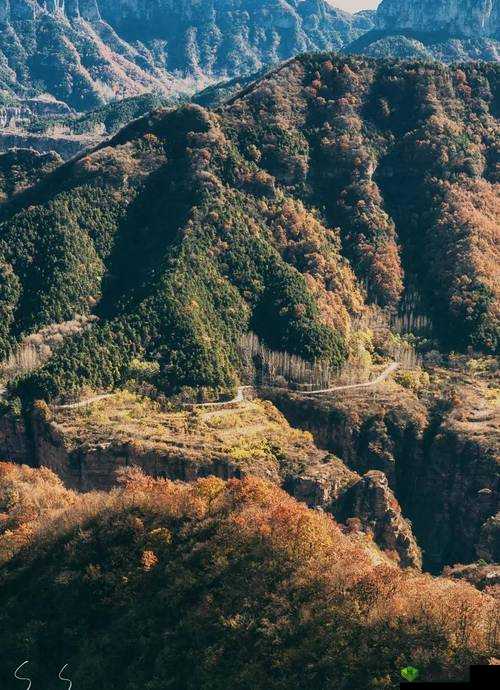 大地资源免费视频观看,尽在这里