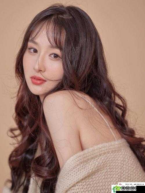 合家欢下册公交车：一段充满欢乐与惊喜的城市之旅