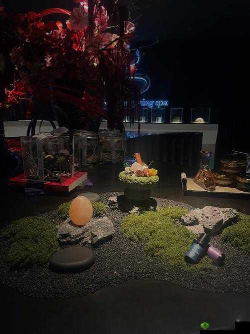 adc 年龄确认大驾光临入口:成年人的私密空间