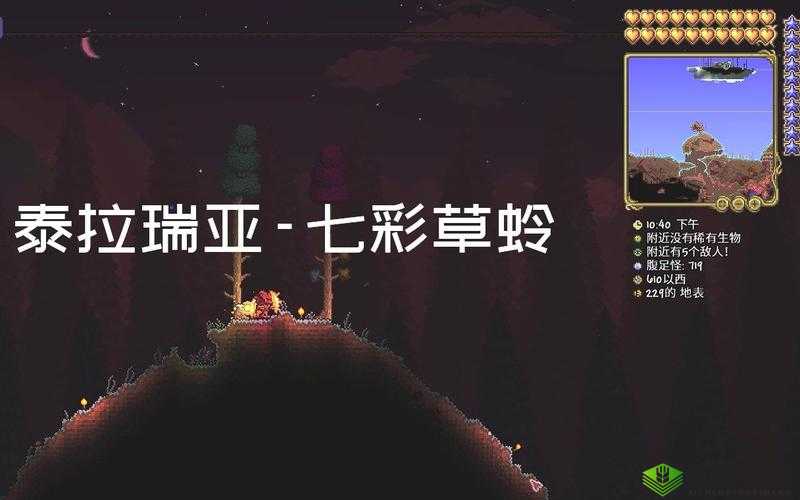 泰拉瑞亚七彩草蛉，探索与捕捉的奇妙之旅