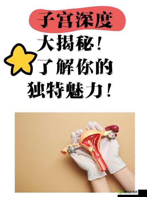 三个人也不错1V2有什么看点:深度剖析其独特魅力所在