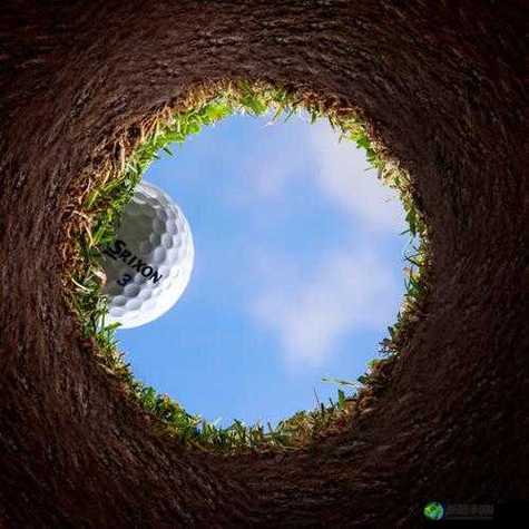 我成了大家的高尔夫球洞：一段奇妙且独特的经历