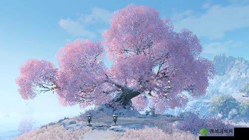 天谕手游苏澜奇景,沉船与三生树的绝美邂逅