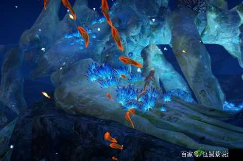 探索天谕手游的水母之梦，一场奇幻的海底冒险