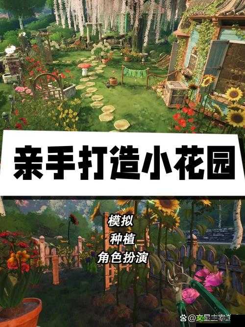 如何亲小花园的实用技巧及相关注意事项