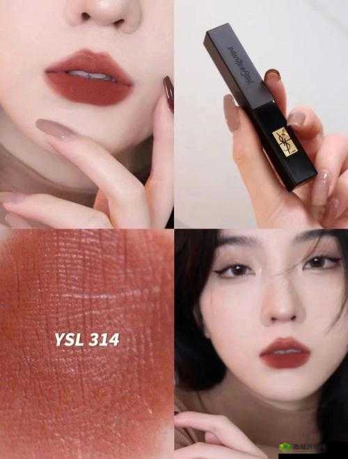 ysl 蜜桃棕调色视频教程及实用技巧分享