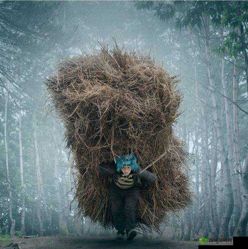 中国大但人文艺术-摄影 展现深厚文化内涵与独特魅力