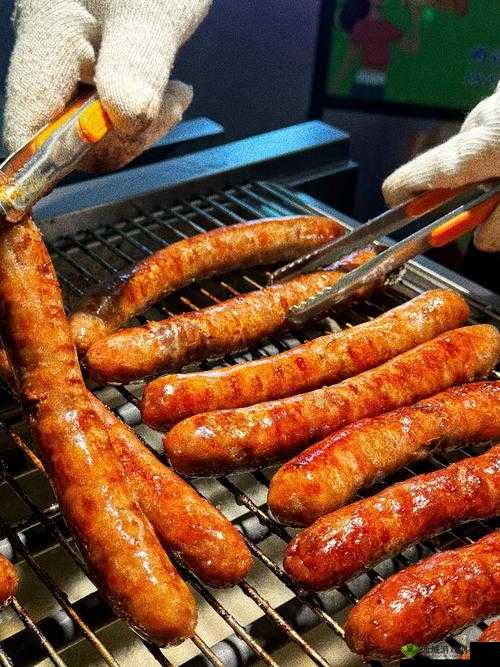 小洞需要大肉肠但大肉肠到底要去哪里找呢