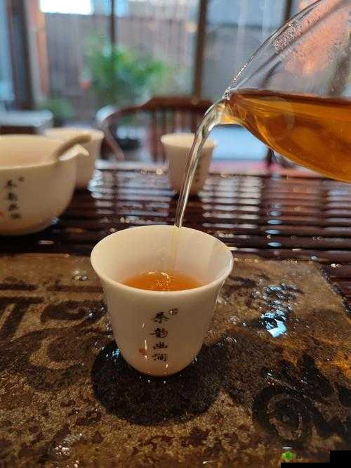 温茶 poH ：品味茶香中的宁静与惬意