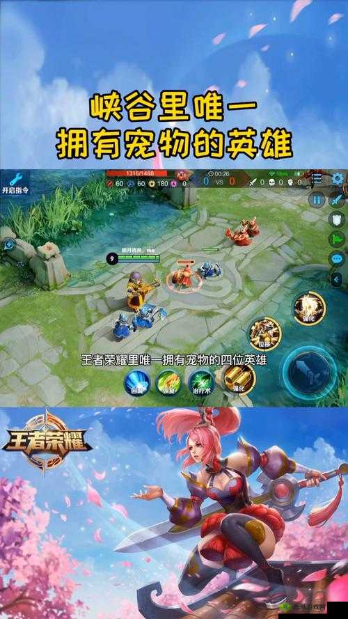 关键词，王者荣耀中的宠物系统探索