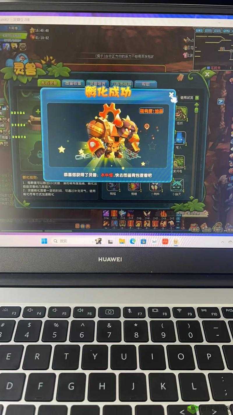 QQ 仙侠传九重天学什么宝鉴：深度解析与最佳选择指南