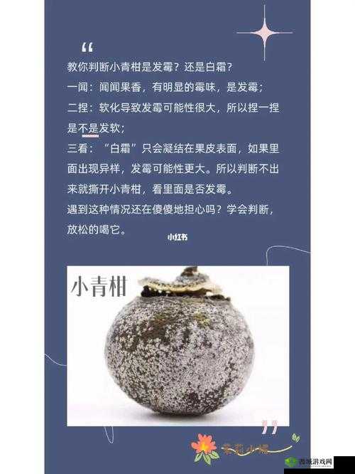 小青柑一线产区和二线产区的区别在哪里?