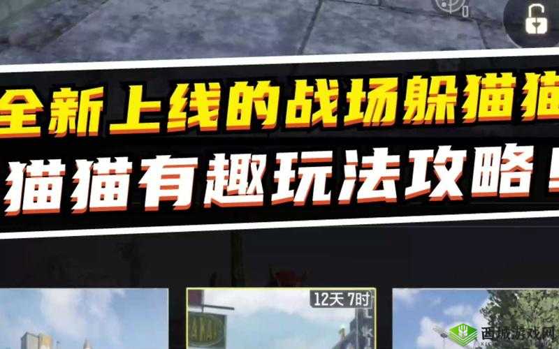 使命召唤躲猫猫模式攻略,资源管理的艺术