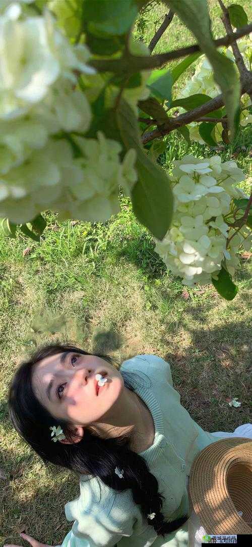 欧美 mv 日韩 mv 最火的一句发布时间被提前:友