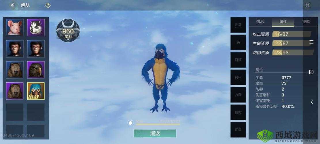 妄想山海金刚鹦鹉，近战输出的灵动霸主