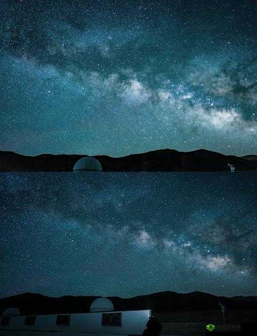 乱码 A 区 D 区 C 区:神秘区域背后的未知探索之旅