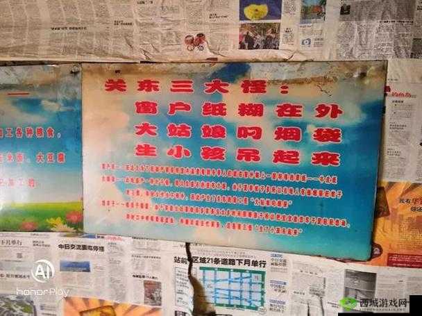 东边大炕交换:一场跨越地域与文化的交流之旅