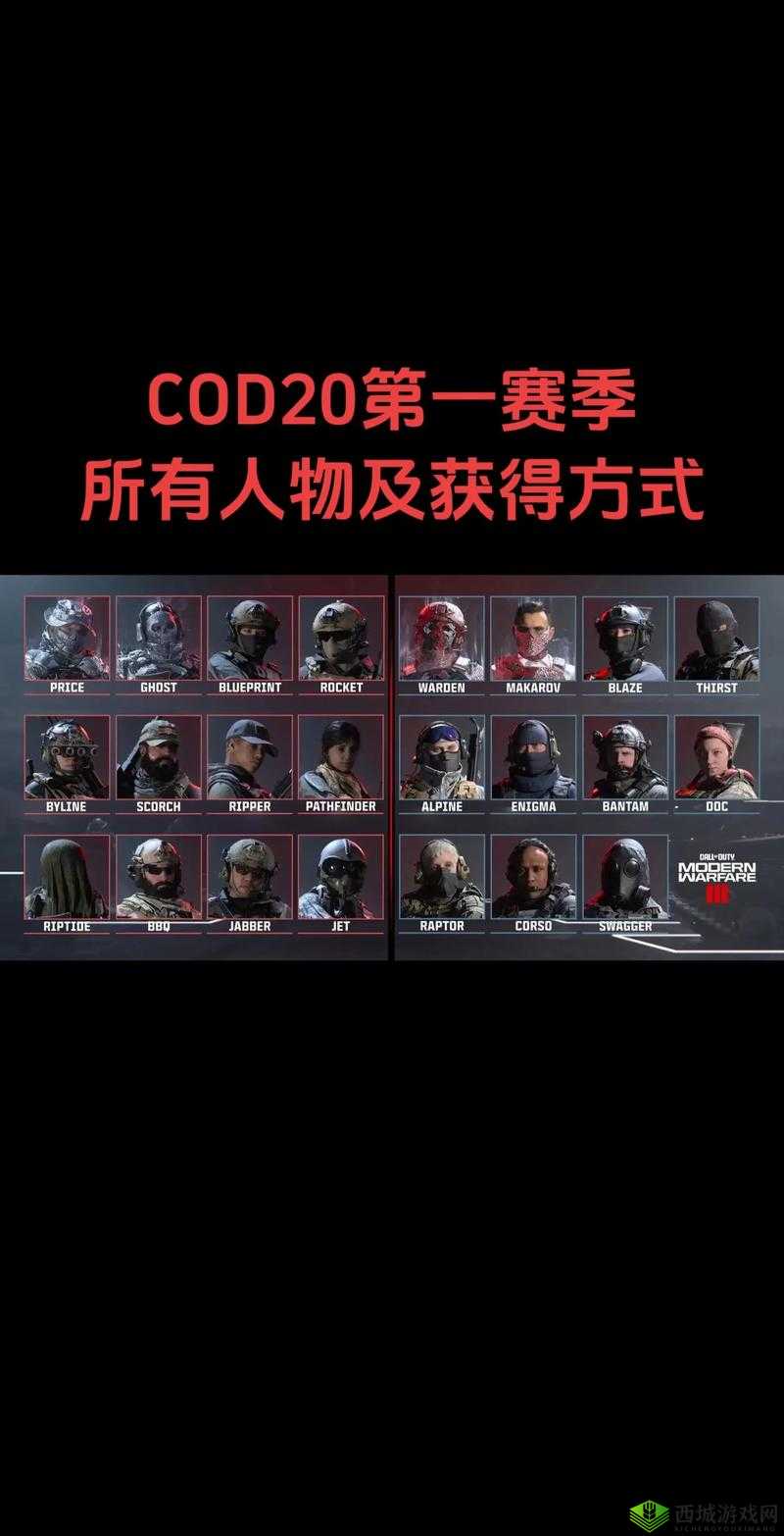 使命召唤手游动作使用及获取方法在资源管理中的重要性及策略