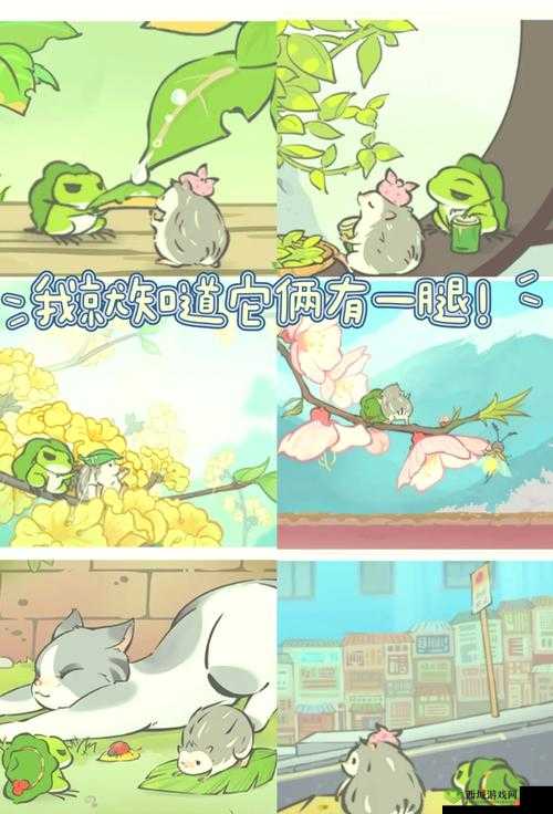 旅行青蛙中国之旅护身符用处介绍，资源管理的艺术