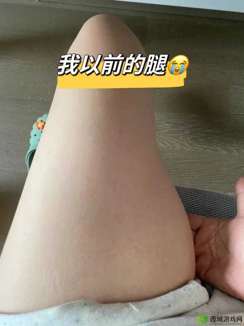 大腿中间一张嘴顺口溜:腿间秘密与奇趣现象揭秘
