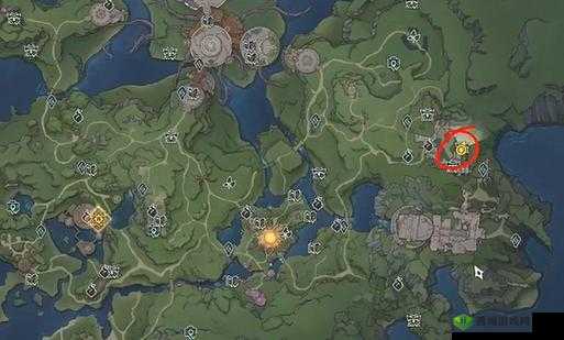 天谕亥猪位置揭秘,迷雾森林中的奇妙探险