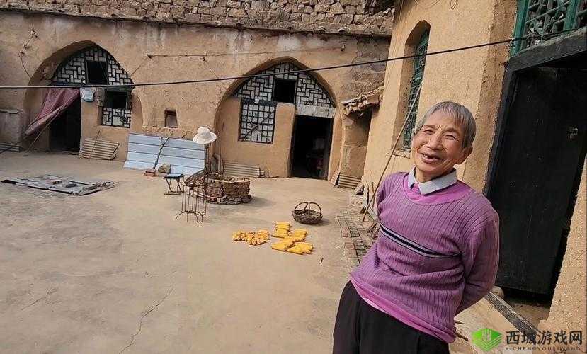 山西窑洞老阿姨:岁月深处的坚守与温暖故事