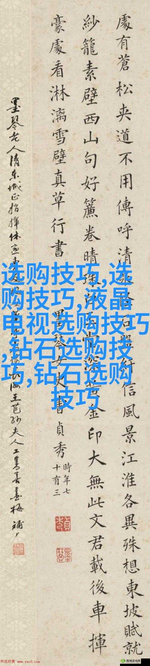 巴西 bbabbabbabba 想起所引发的深刻思考与感悟