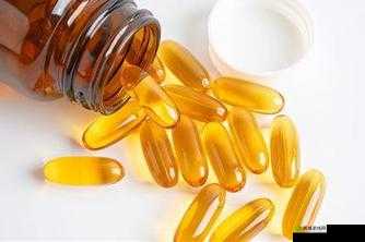 探索中老年人的大 BWBWB:关于其意义与价值的深入研究