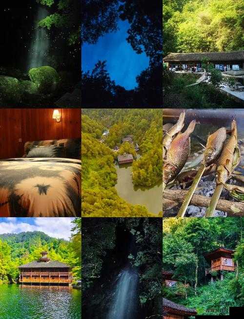 花之语，剑之舞，与萤火虫的奇妙邂逅