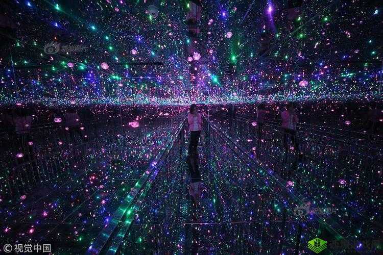 中国XXXXXL196:探索其背后的神秘魅力与价值所在