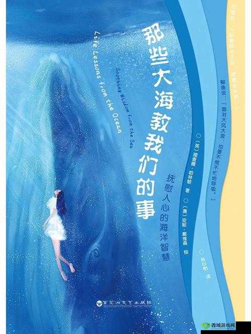 码海拾贝:在代码的海洋中探寻智慧的宝藏