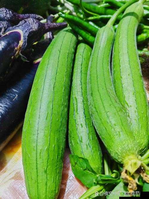 番茄黄瓜丝瓜草莓秋葵大全:各种蔬果的详细介绍与食用指南