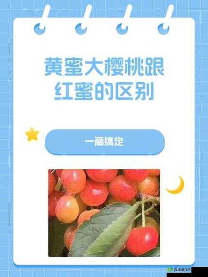 黄蜜大樱桃跟红蜜的区别:口感色泽大小甜度全解析