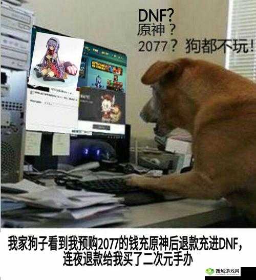 狗都不玩的表情包大全介绍