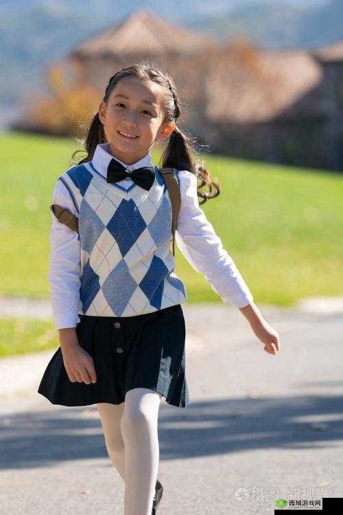 高清小学生 VPSWINDOWS 资源:开启学习新视界