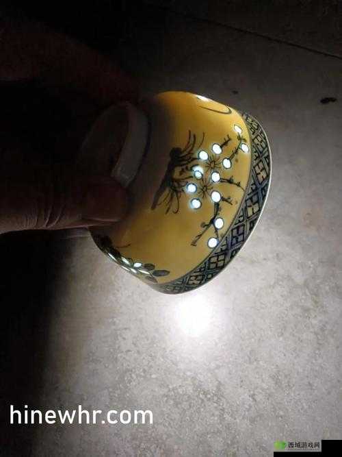 YW193 永不失联国际:开启永恒连接之旅