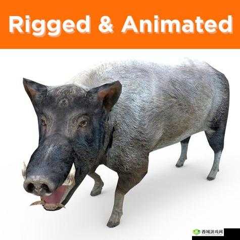 美国 ZOOM 动物 ZOOM:一场关于动物的奇妙冒险