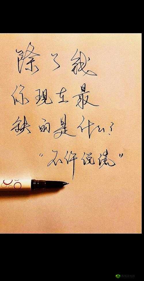 除了填的很满是什么感觉之外，中不许有其他文字