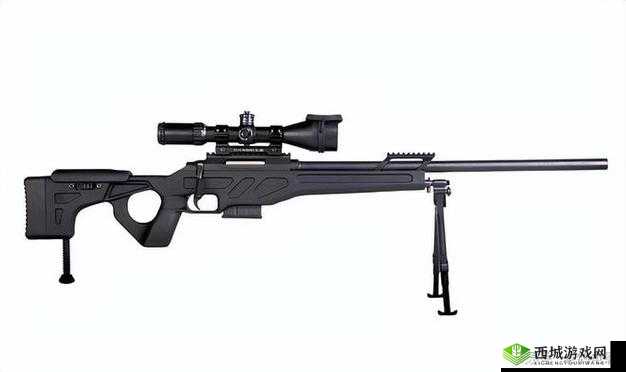 不思议的皇冠狙击者步枪武器介绍