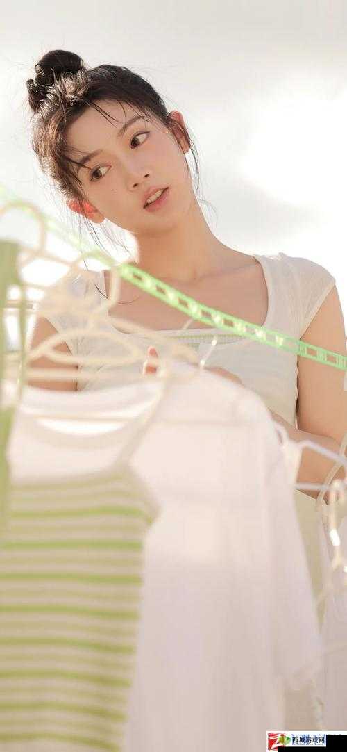 yingdan 小镇公交车尺寸:深入探究其对交通出行的影响