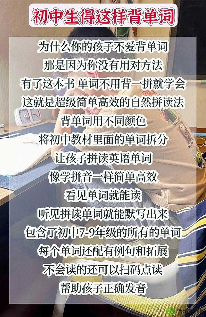 坐在学霸的大紫根上背单词:开启高效学习之旅