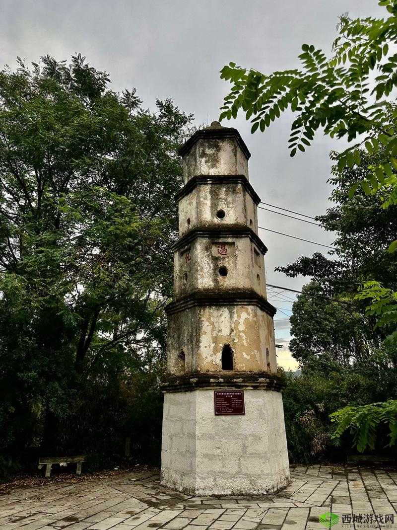 月挣 30 万深度被套雷子求饶老塔:背后的惊人故事