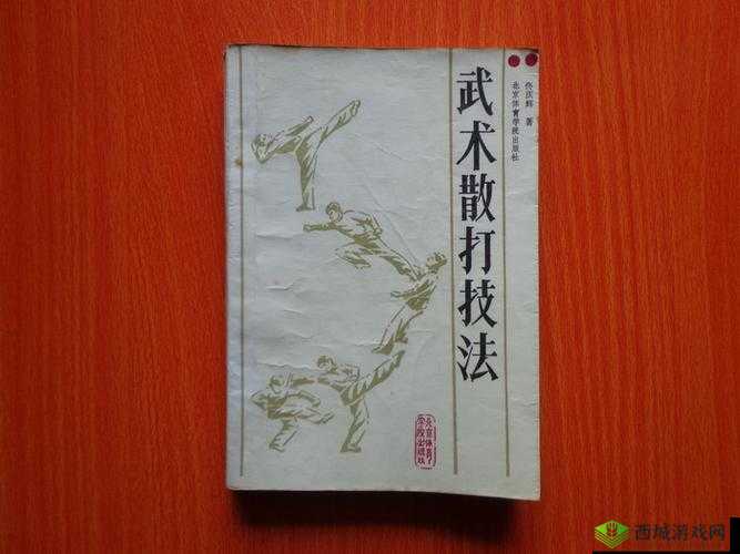 师父推搡怎么用:一种常见的武术技巧