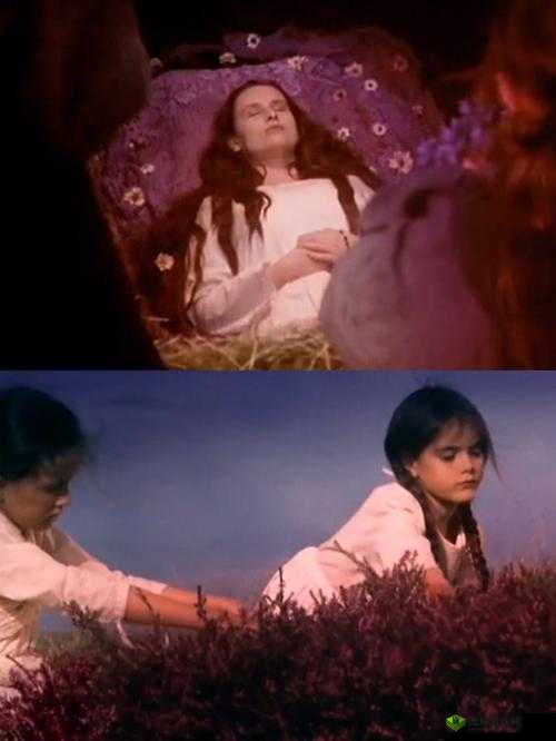 野花韩国高清在线观看:精彩影视内容等你欣赏