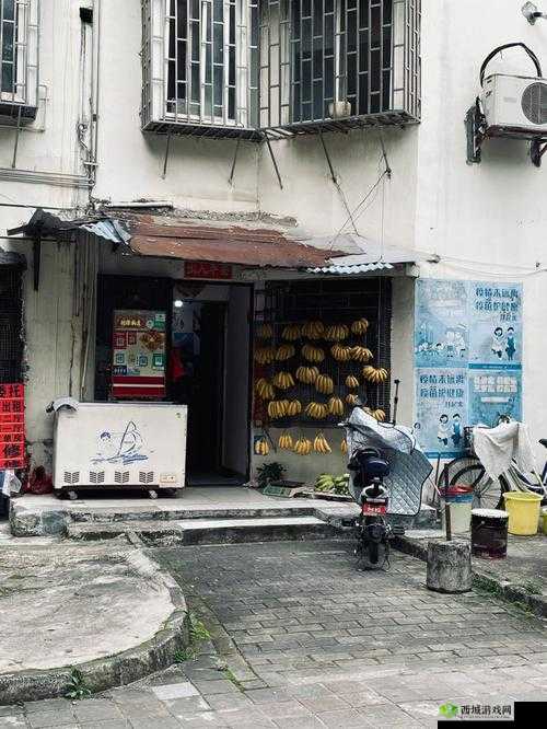 老镖客城中村探店视频:带你领略真实城中村落风情